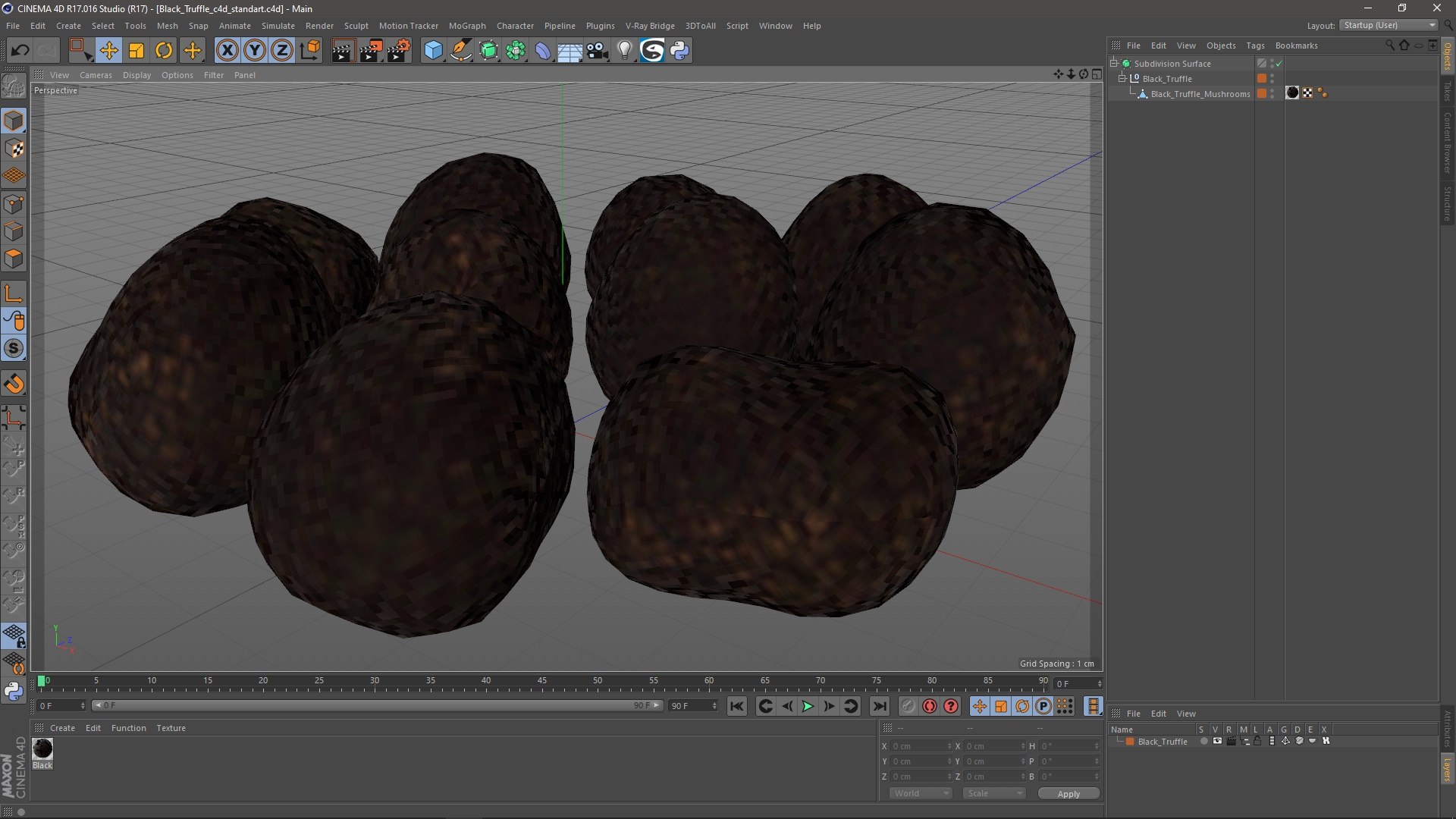 3D Black Truffle - TurboSquid 2217221
