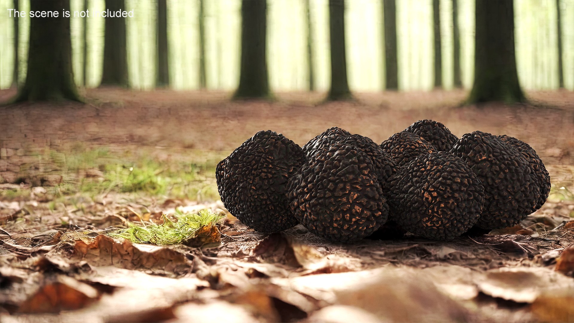 3D Black Truffle - TurboSquid 2217221