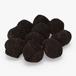3D Black Truffle