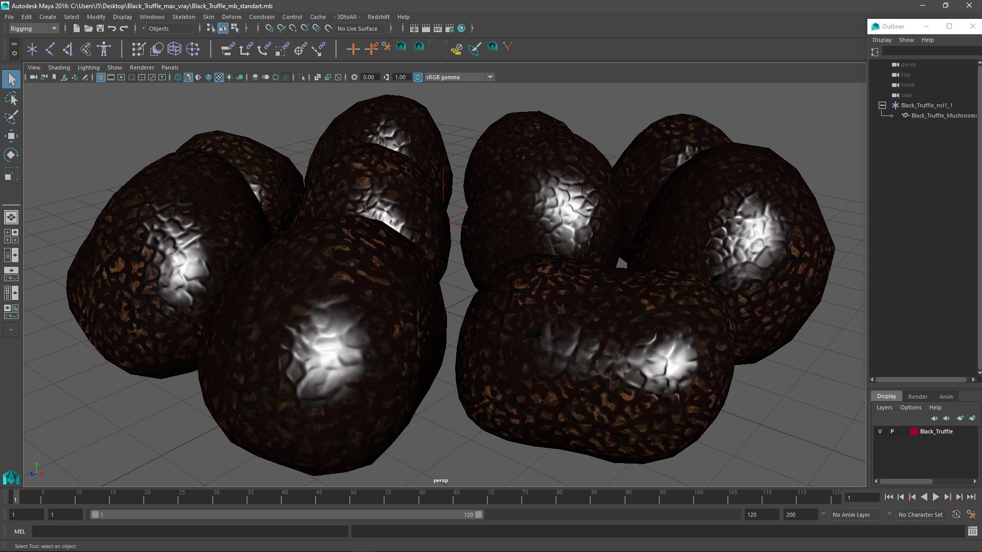 3D Black Truffle - TurboSquid 2217221