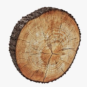 3D Wooden disc