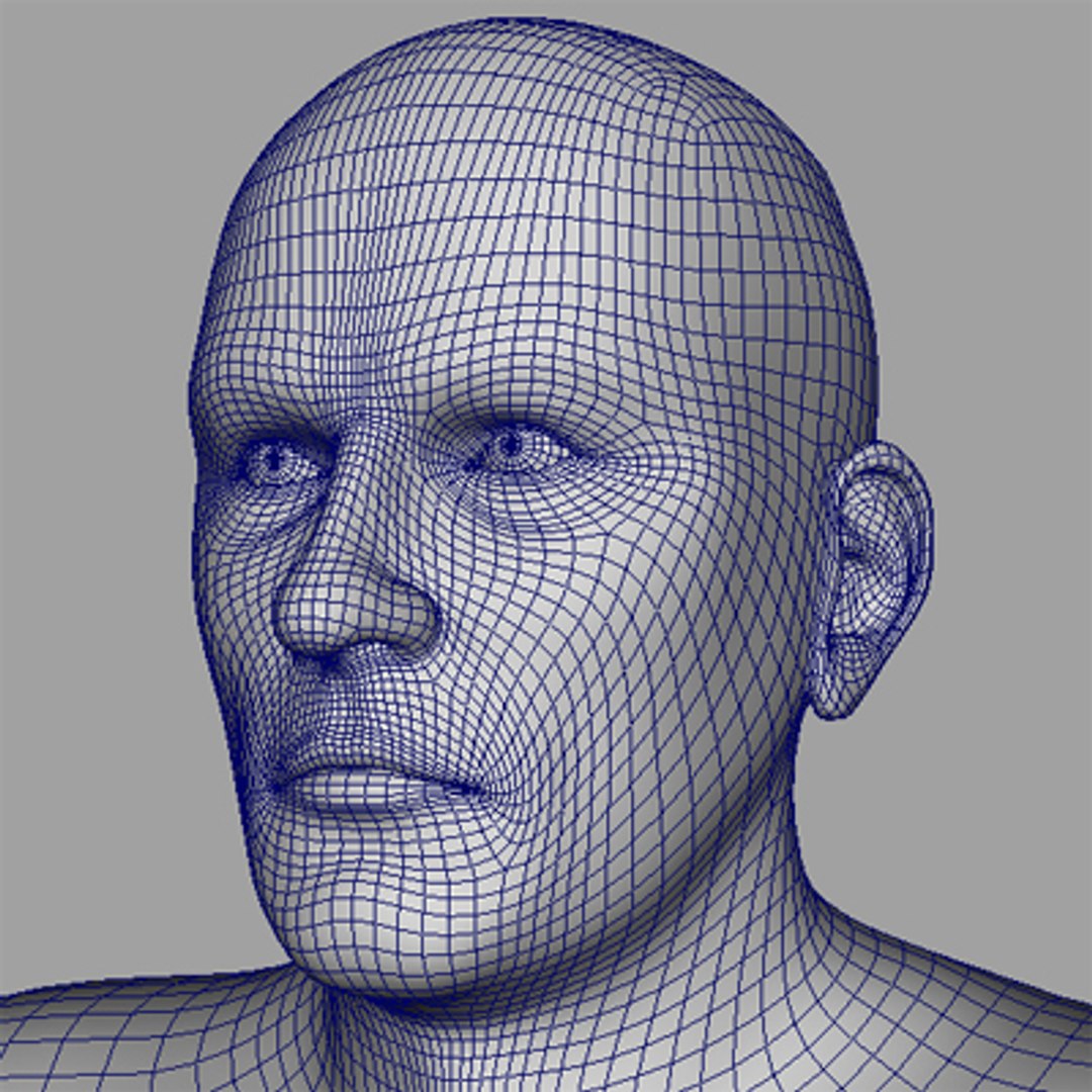 Human Male 3d Ma