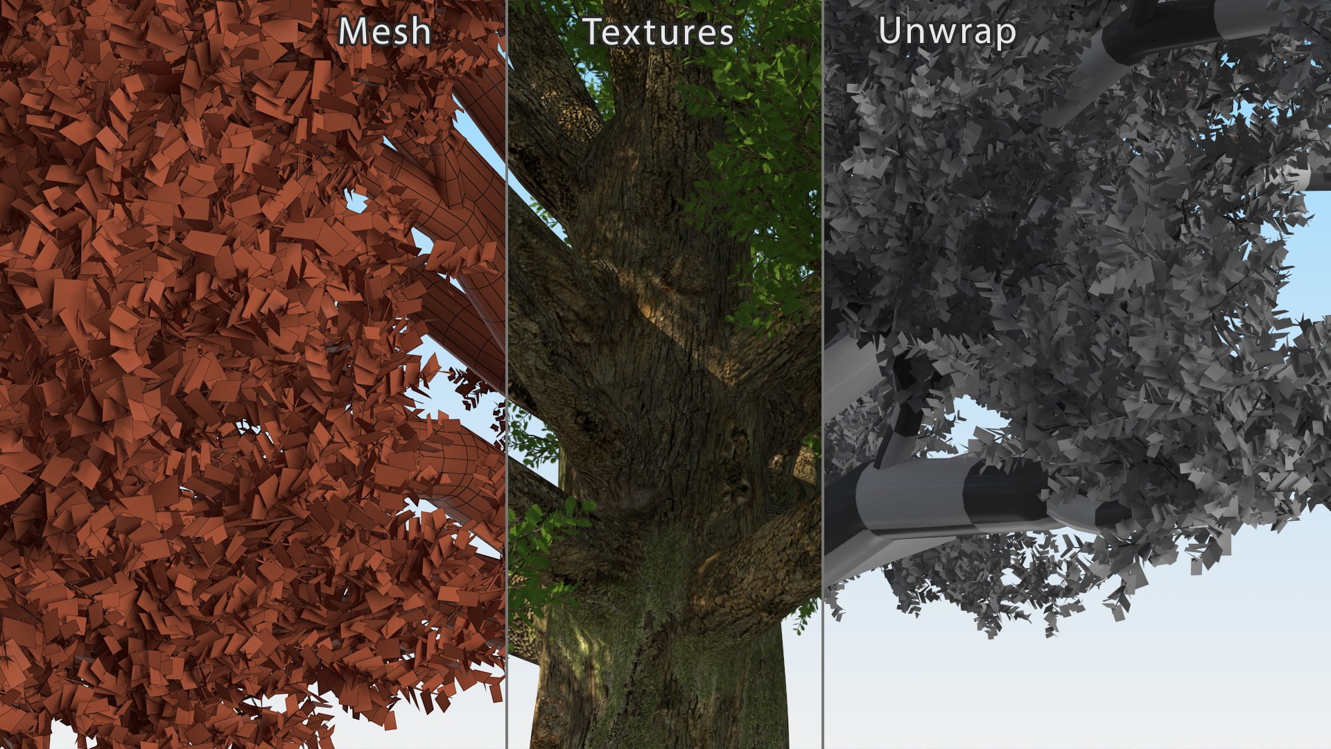 Realistic Oak Tree 3D https://p.turbosquid.com/ts-thumb/RP/xc1rBH/gh/realisticoaktree3dsmodel023/jpg/1711023739/1920x1080/fit_q87/74d9463f13de9d8c9c6b569c1549b7f75618ac77/realisticoaktree3dsmodel023.jpg