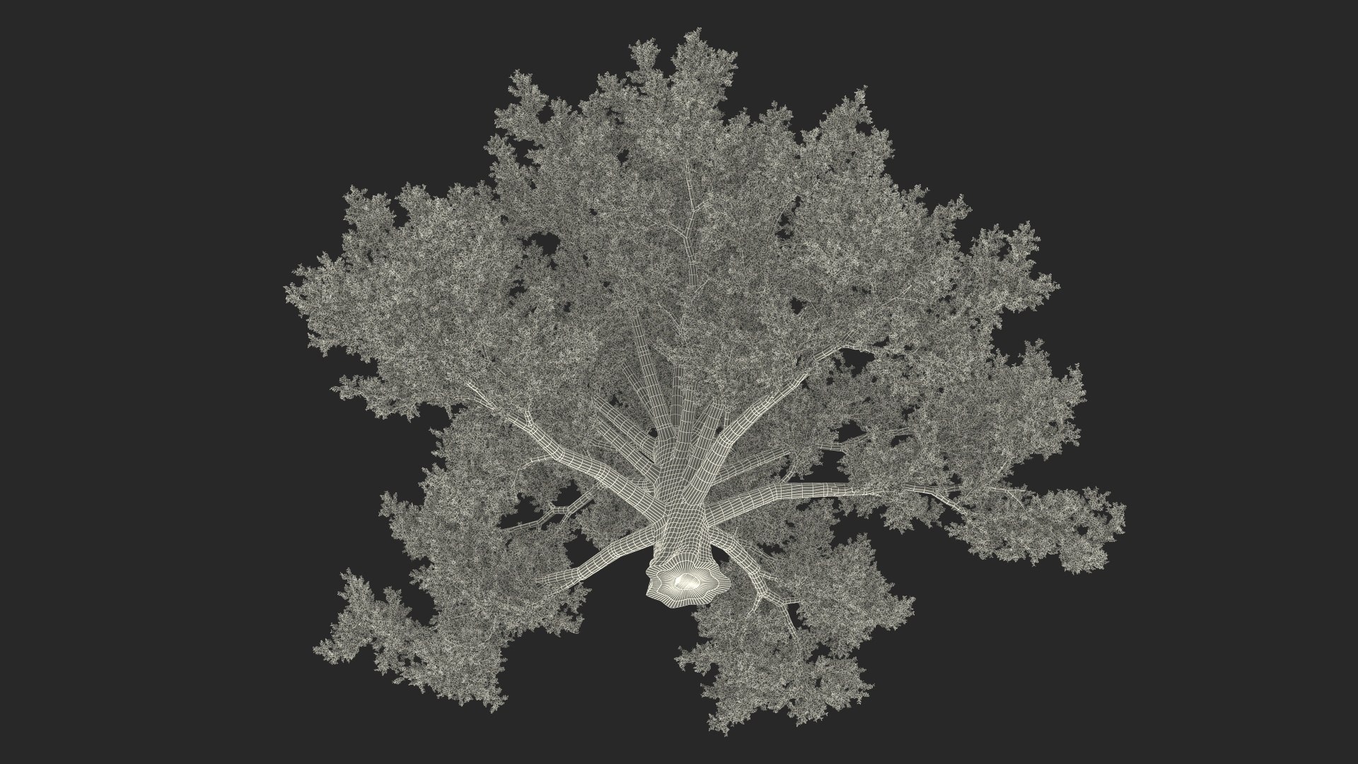 Realistic Oak Tree 3D https://p.turbosquid.com/ts-thumb/RP/xc1rBH/nO/realisticoaktree3dsmodel030/jpg/1711023782/1920x1080/fit_q87/1f188bce8161196ae0395d122655285f7a736e29/realisticoaktree3dsmodel030.jpg