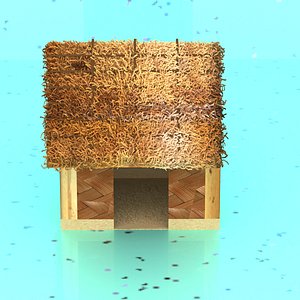 cartoon house