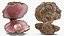 Sea Shells Collection 9 3D model