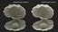 Sea Shells Collection 9 3D model