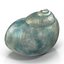 Sea Shells Collection 9 3D model