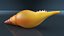 Sea Shells Collection 9 3D model
