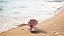 Sea Shells Collection 9 3D model