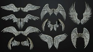 11 Wings 3D model