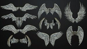 11 Wings