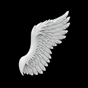 3D Angelic Demon Wings with Dark Feathers 3D Printable Model