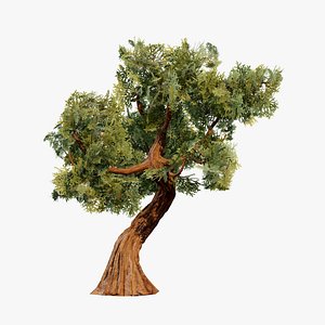 3D Spiral Juniper Asset