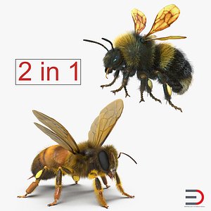 Bee and Bumblebee Rigged 3D Models Collection