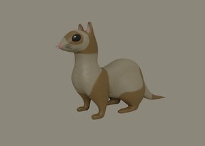 Ferret