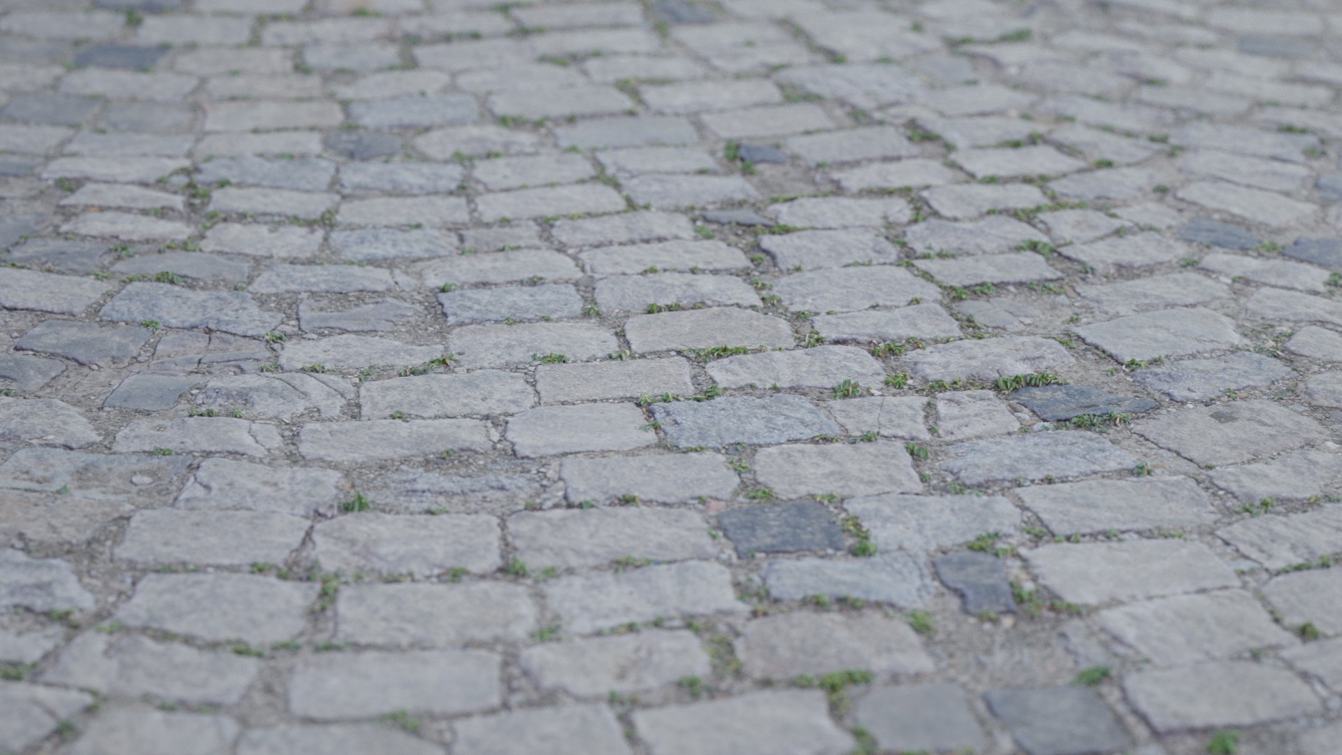 Cobblestone Rock Road Scan model https://p.turbosquid.com/ts-thumb/RQ/OkVjIX/eG/7/jpg/1626520577/1920x1080/fit_q87/58492ef727ac3348e084302c445e1eb8983cd9fb/7.jpg