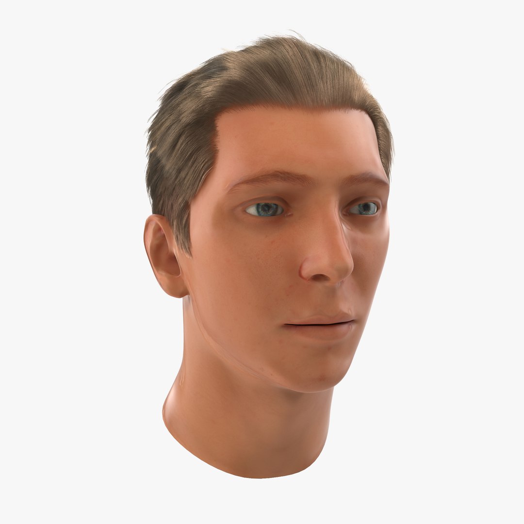 Male Head Rigged 2 3D Model 3D model preview