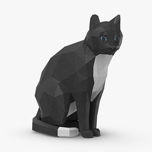 Cat Sitting