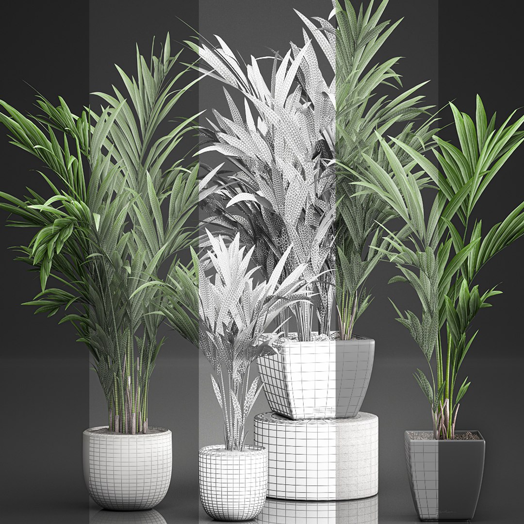 decorative palm white model https://p.turbosquid.com/ts-thumb/RQ/hNlxAo/M86uWbD0/palmset0406202007/jpg/1591370029/1920x1080/fit_q87/65f2da02677681a3e389ebb56bc72226eb62a092/palmset0406202007.jpg