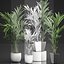 Palmier décoratif dans un pot de fleurs blanc 564