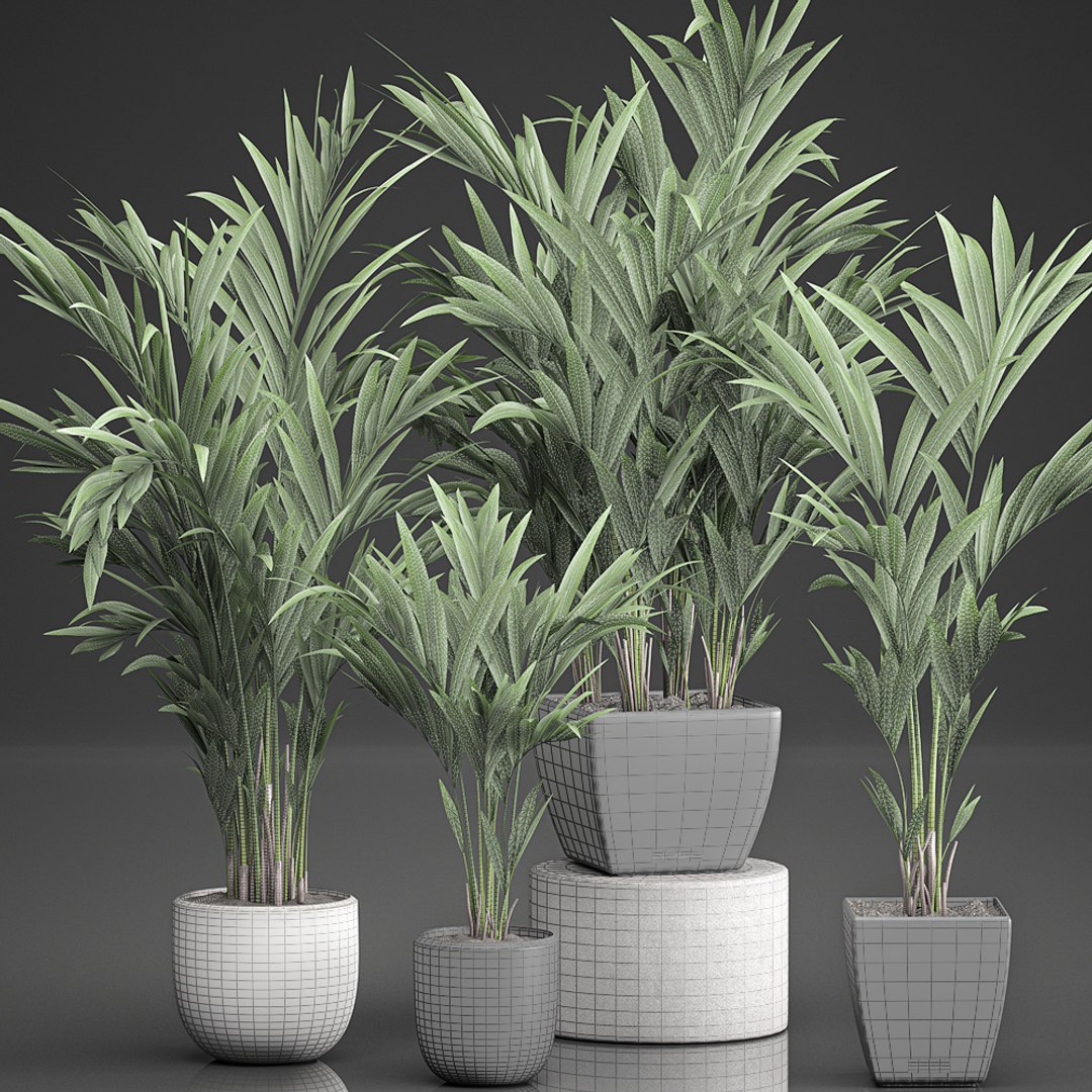 decorative palm white model https://p.turbosquid.com/ts-thumb/RQ/hNlxAo/Y4Vd9epb/palmset0406202008/jpg/1591370029/1920x1080/fit_q87/6c03a47153fa4c1ba5682c7df063e6c60b460c2d/palmset0406202008.jpg