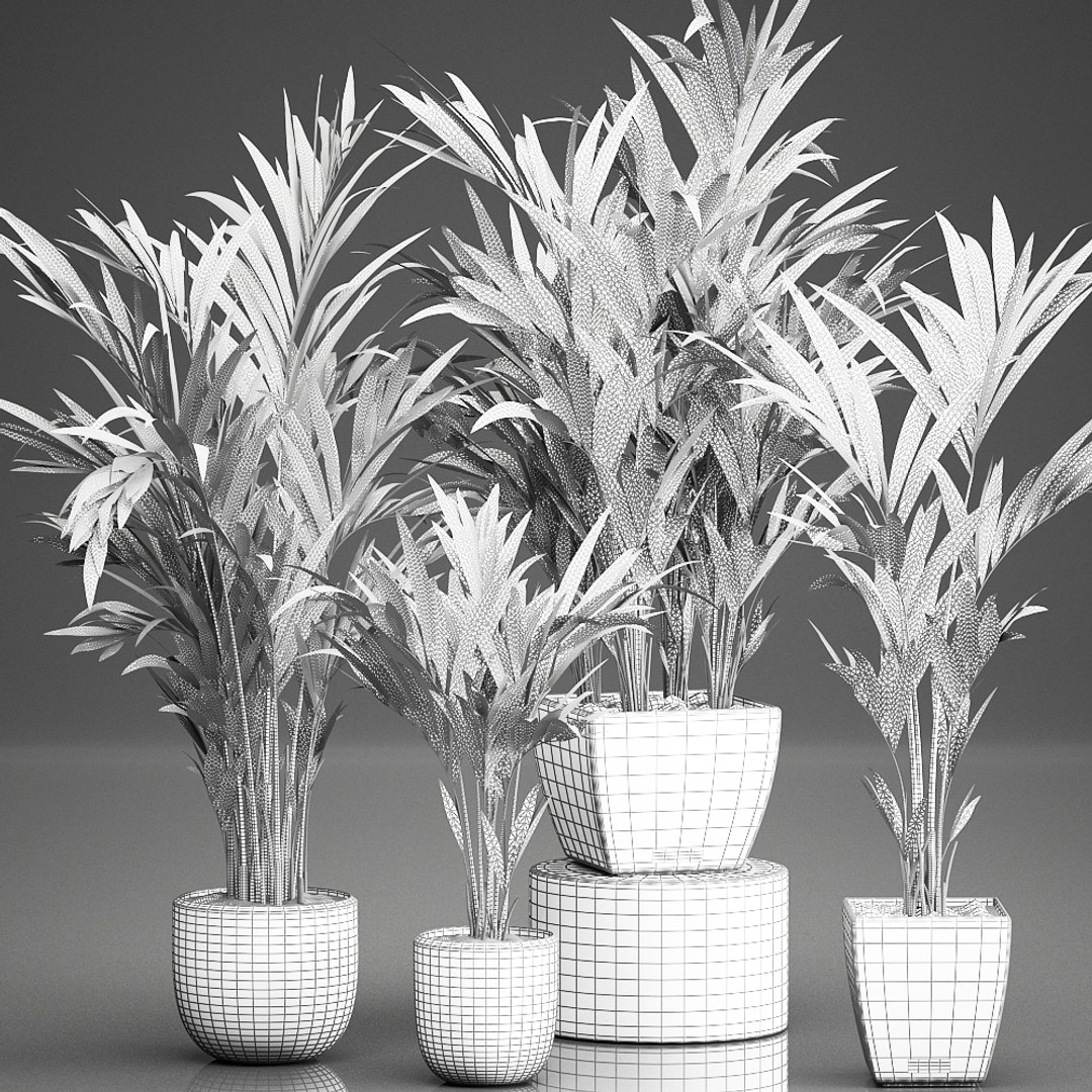 decorative palm white model https://p.turbosquid.com/ts-thumb/RQ/hNlxAo/yaLiZ0bo/palmset0406202009/jpg/1591370029/1920x1080/fit_q87/ac5b01a862dc92fef663f47ebb426b1055fd47be/palmset0406202009.jpg
