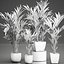 Palmier décoratif dans un pot de fleurs blanc 564