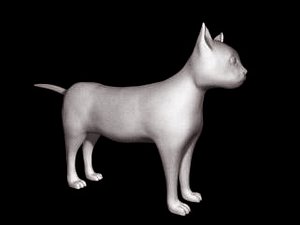 cat feline 3d model