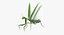 grasshopper mantis rigged 3D model