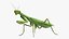 grasshopper mantis rigged 3D model