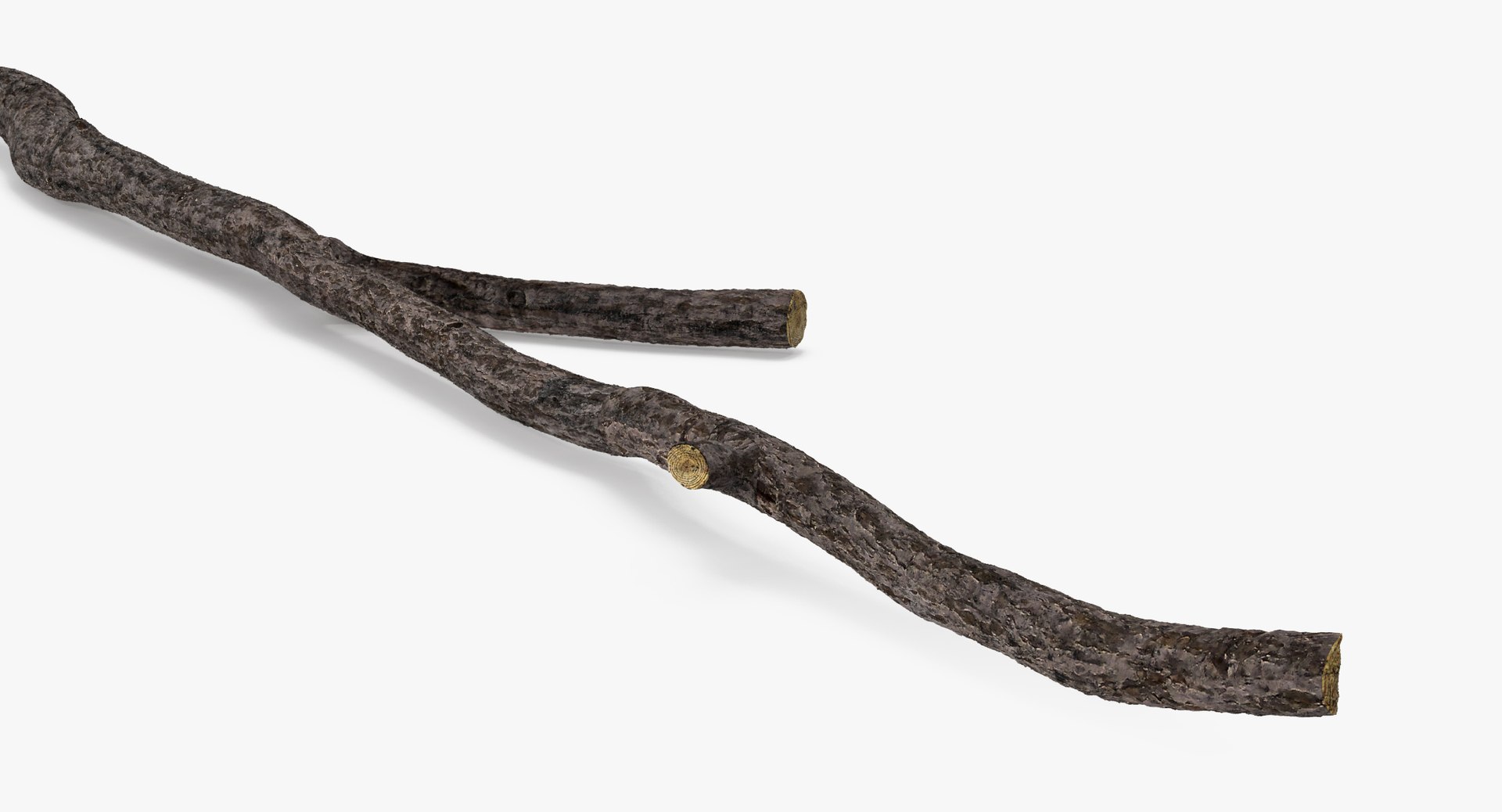 Twig 03 Max