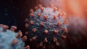 3D model novel coronavirus covid-19