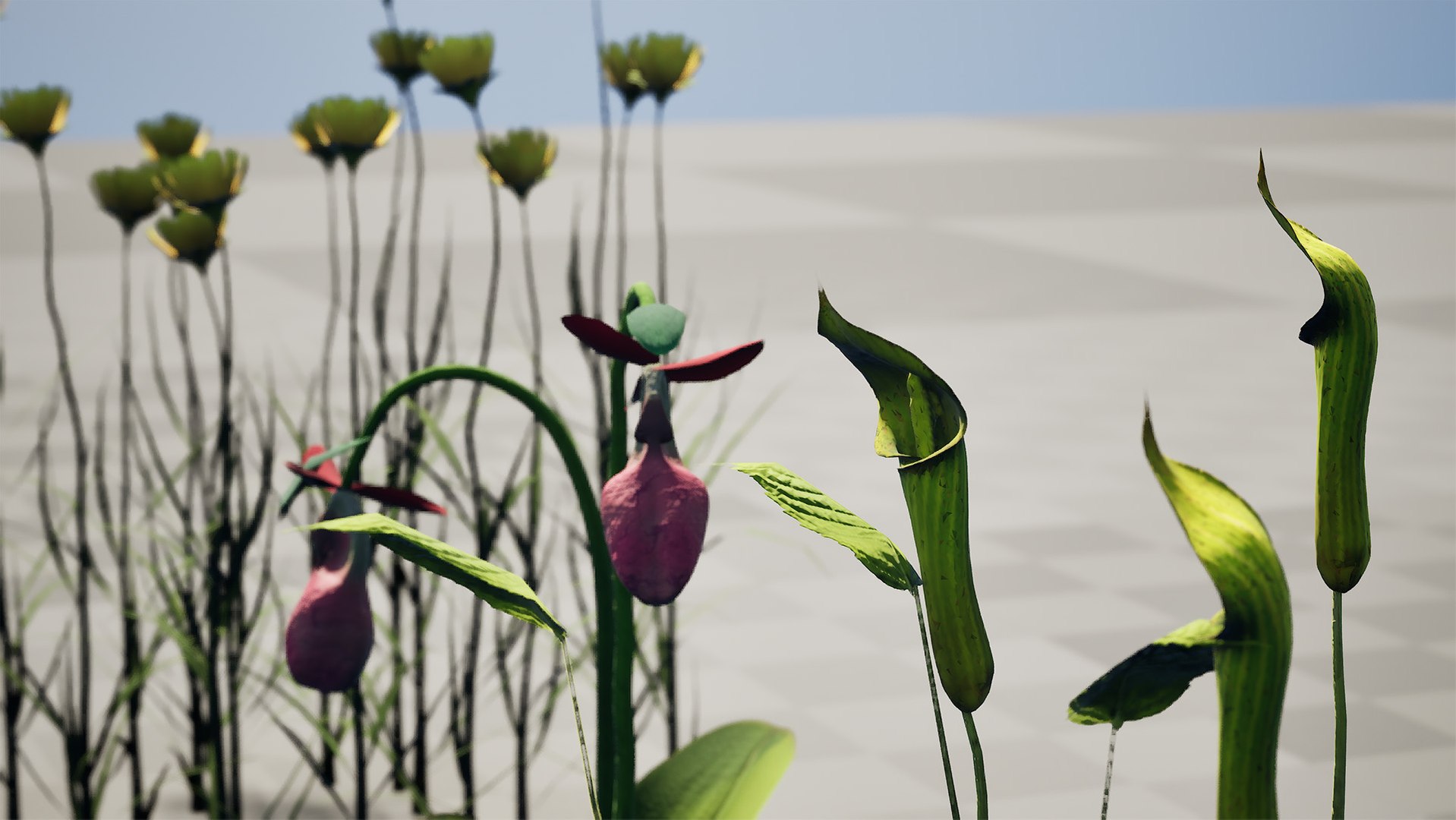 Game-Ready North American Wildflowers model https://p.turbosquid.com/ts-thumb/RQ/t4B6Yq/7v/zhighresscreenshot00002/jpg/1781122054/1920x1080/fit_q87/715e918a1e11121f1d2745f40a634ff6c2d533ef/zhighresscreenshot00002.jpg