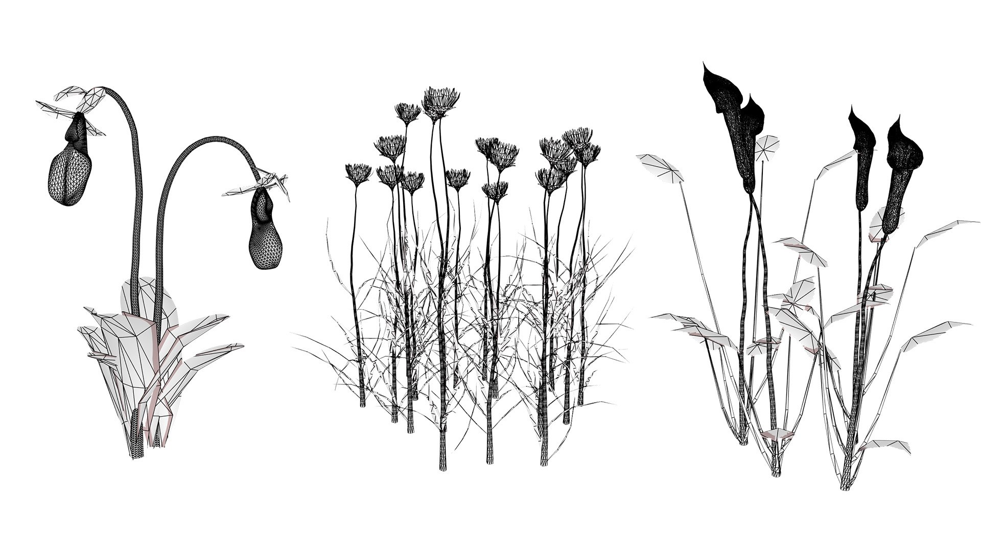 Game-Ready North American Wildflowers model https://p.turbosquid.com/ts-thumb/RQ/t4B6Yq/Ut/wirel/jpg/1781122053/1920x1080/fit_q87/dc342727e9fd845c2ba2e2138b09e7fc3fb414f8/wirel.jpg