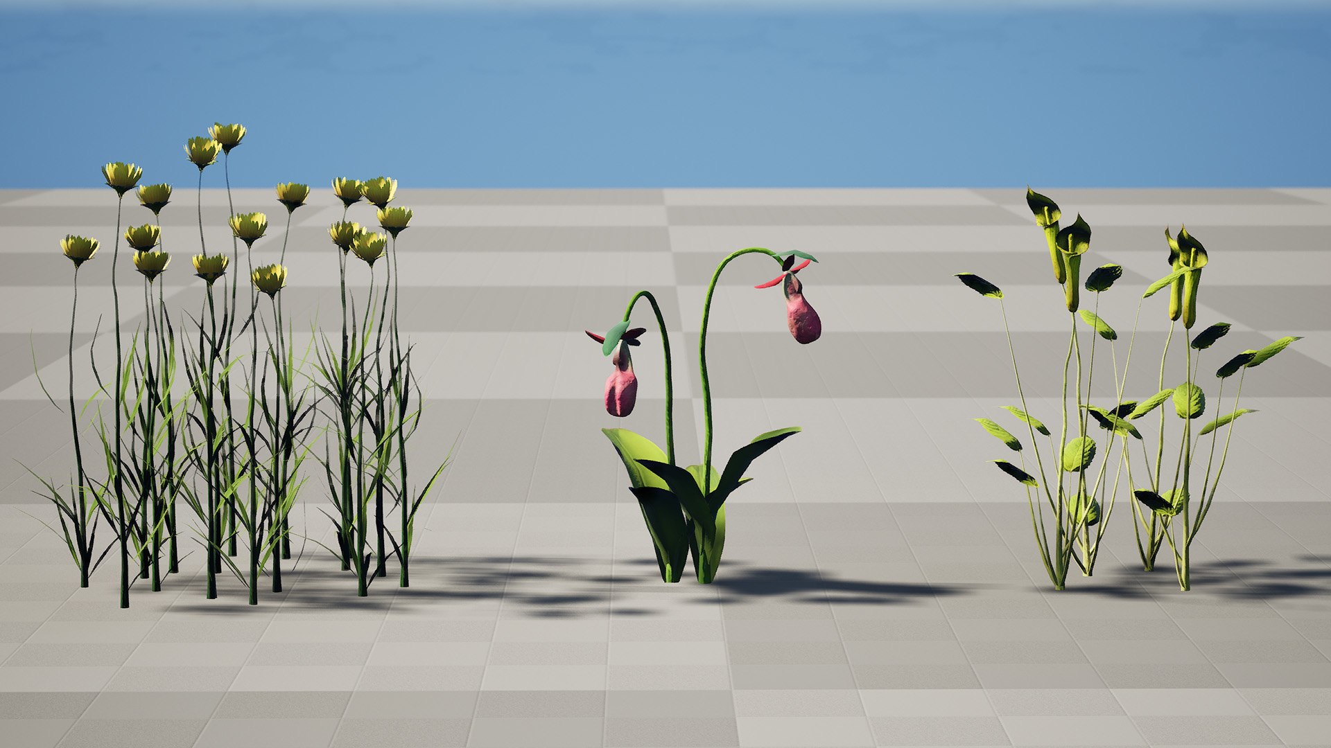Game-Ready North American Wildflowers model https://p.turbosquid.com/ts-thumb/RQ/t4B6Yq/w1/zhighresscreenshot00001/jpg/1781122054/1920x1080/fit_q87/5c35e539c8af5bb508c9d85f6a3440d77ffd8477/zhighresscreenshot00001.jpg