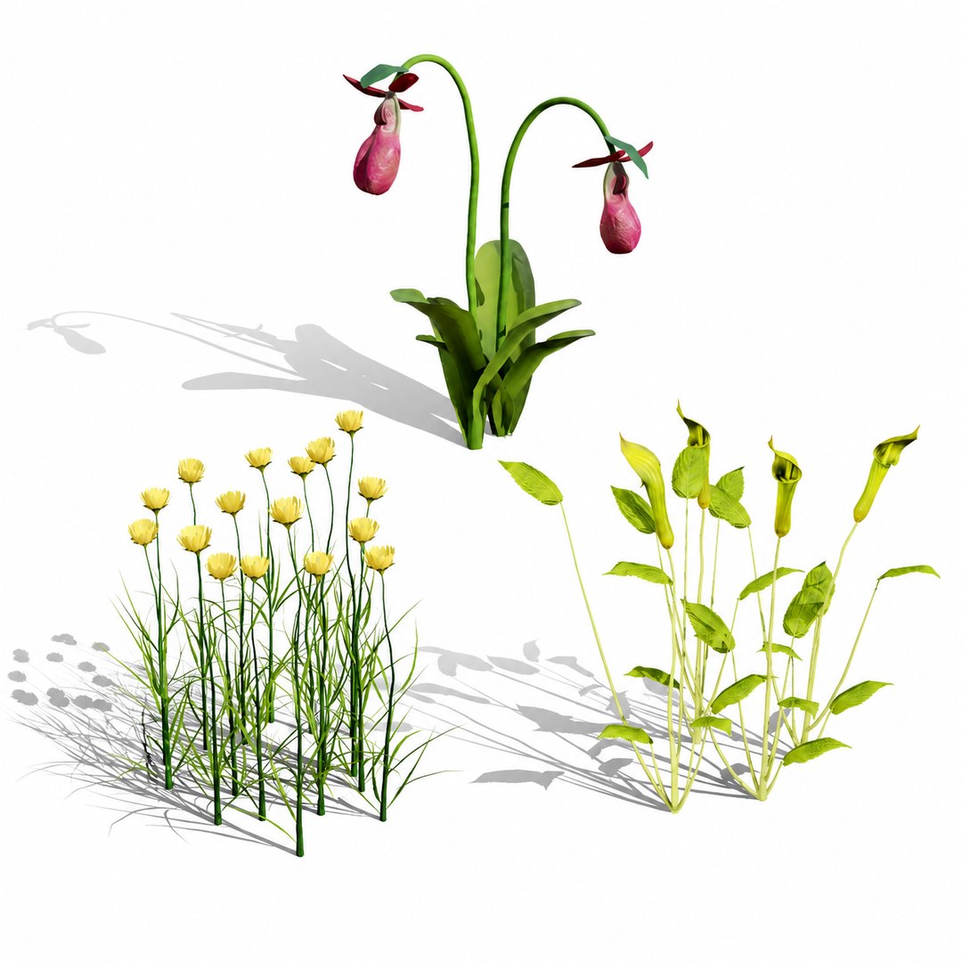 Game-Ready North American Wildflowers model https://p.turbosquid.com/ts-thumb/RQ/t4B6Yq/za/0000covernorthamericanwildflowers/png/1781122050/1920x1080/fit_q87/a365a014ba28898f842e499c48e4c4fcafa79482/0000covernorthamericanwildflowers.jpg