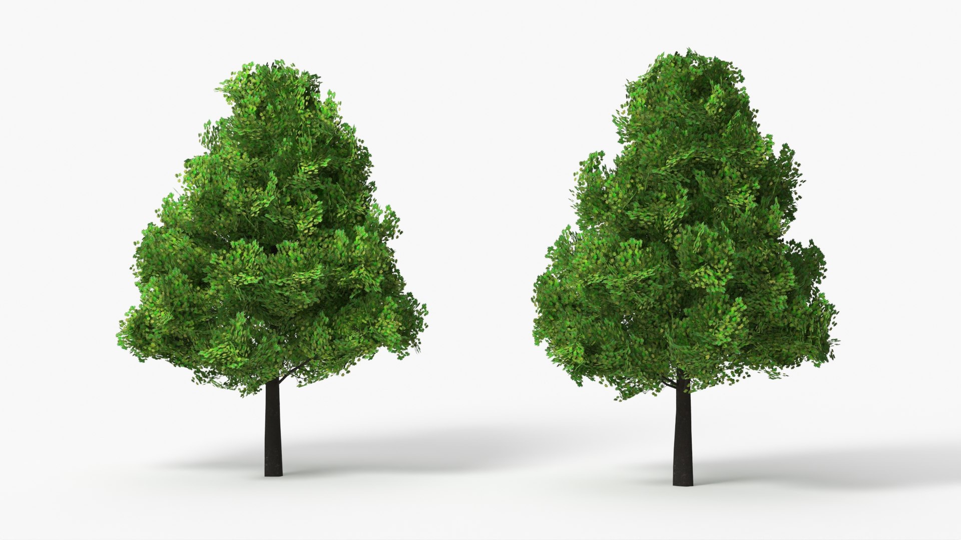 Realistic Lowpoly Tulip Tree 3D model preview