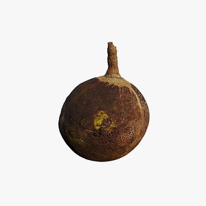 3D Anydrafts Hydnocarpus hainanensis 01 model