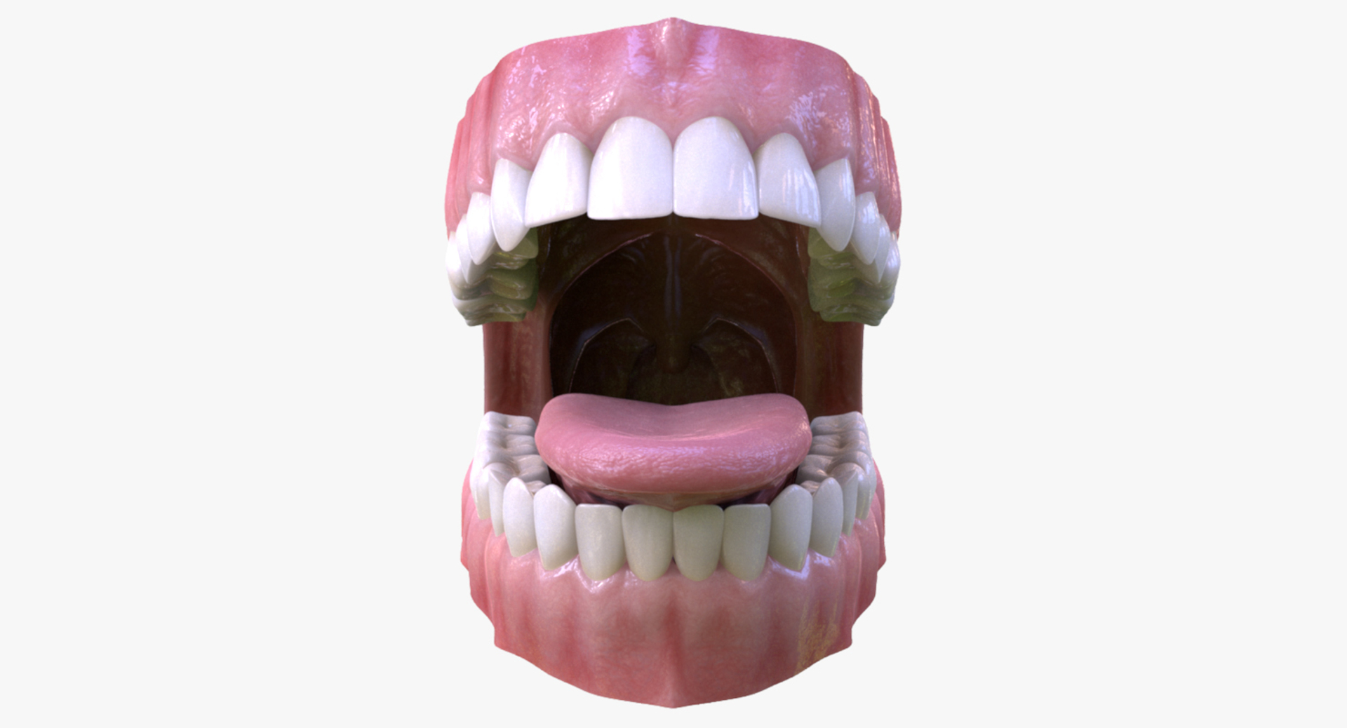 3d dental mouth realistic tongue model https://p.turbosquid.com/ts-thumb/RR/0nC4en/DwRuJtRE/mouthturntable/jpg/1444940933/1920x1080/turn_fit_q99/0f23a42233c19355b9fbaa993a68e2c8890cfc0d/mouthturntable-1.jpg