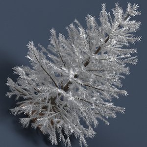 Christmas Tree 02