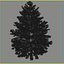 Christmas Tree 02