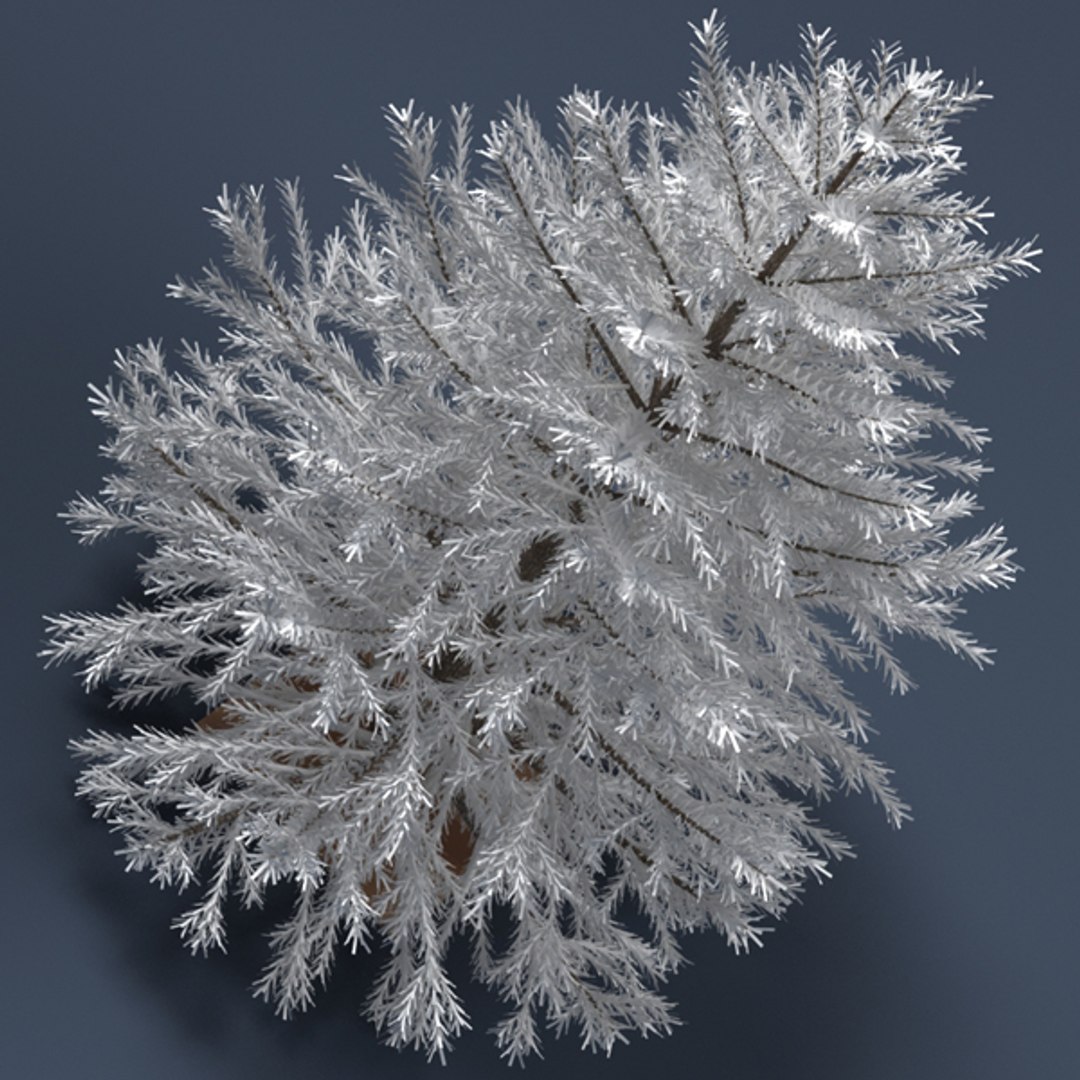 3d model christmas tree https://p.turbosquid.com/ts-thumb/RR/AgI9PS/kDH7wWbE/03/jpg/1356949444/1920x1080/fit_q87/a9415070b72c80d4e0a739367b61833dfe37ead0/03.jpg