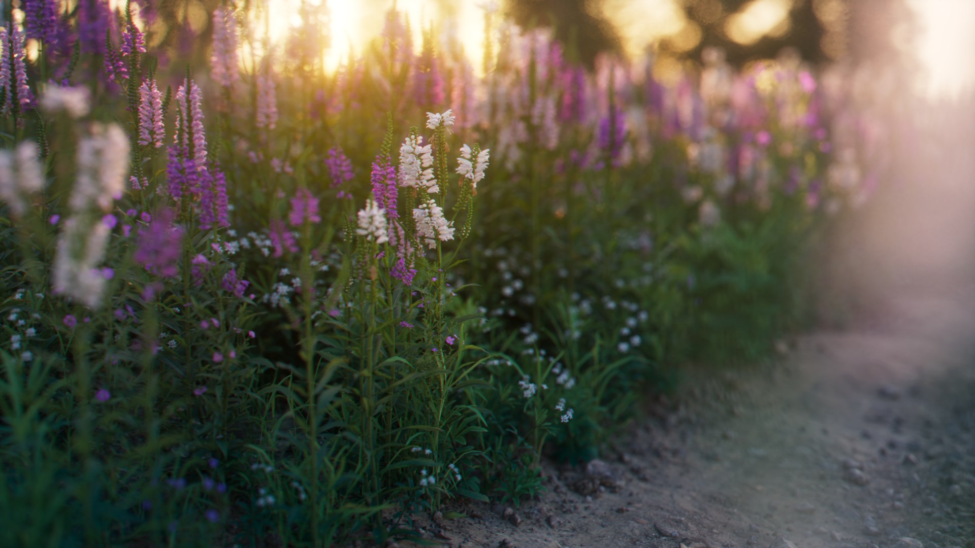 physostegia virginiana 3D model https://p.turbosquid.com/ts-thumb/RR/LRn3YP/YygOfxqT/3dflowercollectionvol03physostegiavirginiana_01/png/1604504943/1920x1080/fit_q87/e1b1b1edaa52c4d19f639972105d59cb8e5975e8/3dflowercollectionvol03physostegiavirginiana_01.jpg