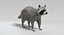 Animated Game Raccoon