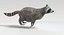 Animated Game Raccoon