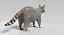 Animated Game Raccoon