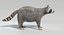Animated Game Raccoon