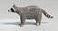 Animated Game Raccoon