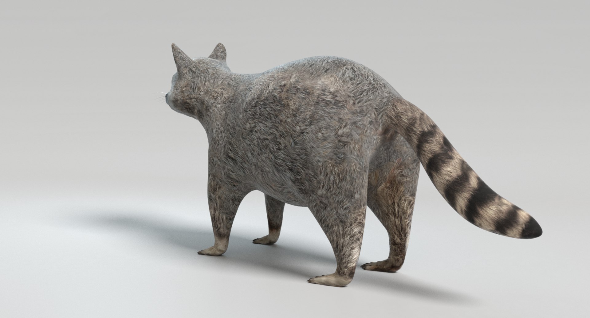 3D raccoon animations model https://p.turbosquid.com/ts-thumb/RR/nT09RO/NJxiuXBi/images0019/png/1504050053/1920x1080/fit_q87/4ca35d3947914c099787a503e45e90a2b9db96bf/images0019.jpg